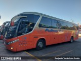 Pullman Bus 116 na cidade de El Tabo, San Antonio, Valparaíso, Chile, por Benjamín Tomás Lazo Acuña. Número da foto: #12847871.