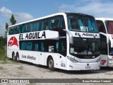 El Aguila 5055 na cidade de Florianópolis, Santa Catarina, Brasil, por Bruno Barbosa Cordeiro. Número da foto: #12846683.