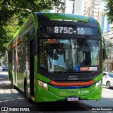 TRANSPPASS - Transporte de Passageiros 8 0306 na cidade de São Paulo, São Paulo, Brasil, por Michel Nowacki. Número da foto: #12847531.