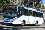 Cidade das Hortênsias 3057 na cidade de Petrópolis, Rio de Janeiro, Brasil, por Paulo Henrique Pereira Borges. Número da foto: #12846616.