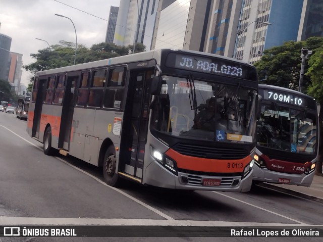 TRANSPPASS - Transporte de Passageiros 8 0113 na cidade de São Paulo, São Paulo, Brasil, por Rafael Lopes de Oliveira. Número da foto: #12786110.