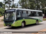 Turin Transportes 2310 na cidade de Congonhas, Minas Gerais, Brasil, por Eduardo Vieira. Número da foto: #12787972.