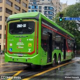 Himalaia Transportes > Ambiental Transportes Urbanos 4 1134 na cidade de São Paulo, São Paulo, Brasil, por Michel Nowacki. Número da foto: #12788503.