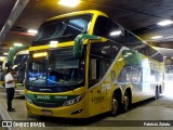 Empresa Gontijo de Transportes 25035 na cidade de Belo Horizonte, Minas Gerais, Brasil, por Fabricio Zulato. Número da foto: #12788319.