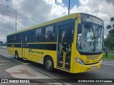 Rio Verde Turismo 988 na cidade de Curitiba, Paraná, Brasil, por BUSOLOGIA ACS Caetano. Número da foto: #12785980.
