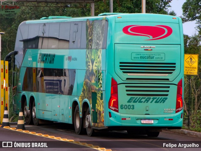 Eucatur - Empresa União Cascavel de Transportes e Turismo 6003 na cidade de Campo Grande, Mato Grosso do Sul, Brasil, por Felipe Arguelho. Número da foto: #12791050.