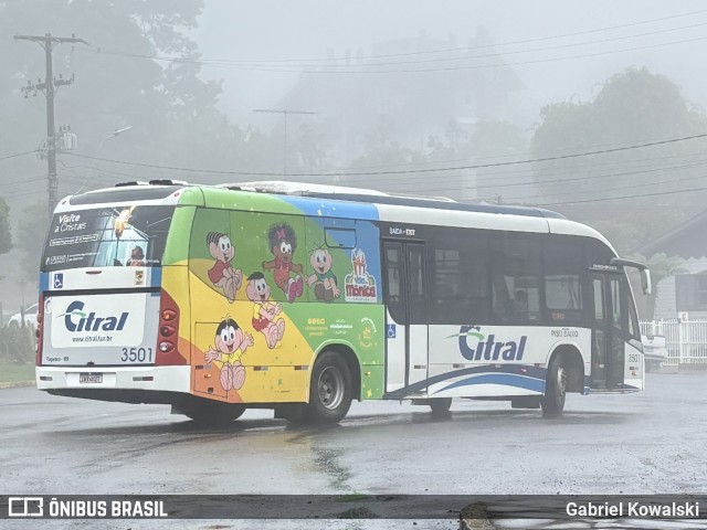 Citral Transporte e Turismo 3501 na cidade de Canela, Rio Grande do Sul, Brasil, por Gabriel Kowalski. Número da foto: #12792638.