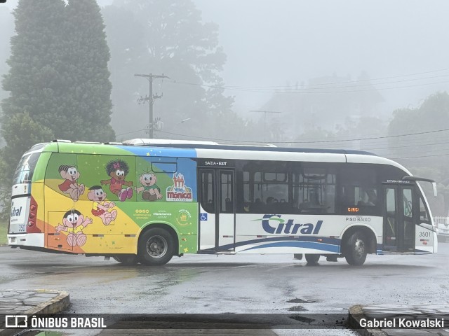 Citral Transporte e Turismo 3501 na cidade de Canela, Rio Grande do Sul, Brasil, por Gabriel Kowalski. Número da foto: #12792651.