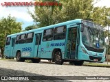 Viação Rocio 17007 na cidade de Paranaguá, Paraná, Brasil, por Fernando Rodrigues. Número da foto: #12790959.