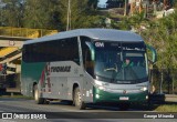 Transportes Thomaz 545 na cidade de Santa Isabel, São Paulo, Brasil, por George Miranda. Número da foto: #12792796.