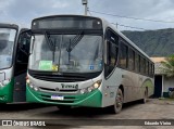 Turin Transportes 1255 na cidade de Ouro Branco, Minas Gerais, Brasil, por Eduardo Vieira. Número da foto: #12790888.
