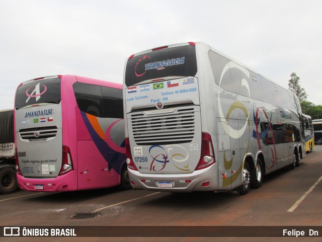 Transguga Transportes e Turismo 17250 na cidade de Santa Helena, Paraná, Brasil, por Felipe  Dn. Número da foto: #12795725.
