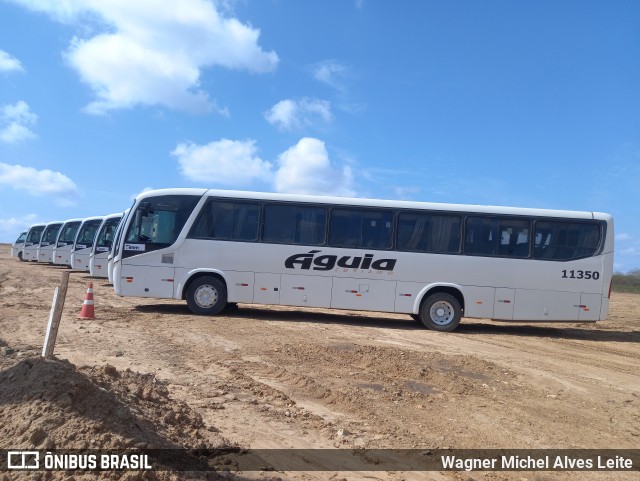 Águia Turismo 11350 na cidade de Tacaimbó, Pernambuco, Brasil, por Wagner Michel Alves Leite. Número da foto: #12794130.