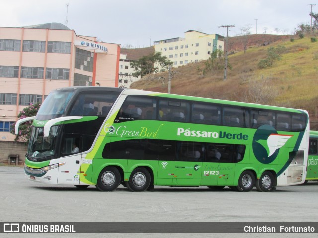 Pássaro Verde 12123 na cidade de Viçosa, Minas Gerais, Brasil, por Christian  Fortunato. Número da foto: #12795706.