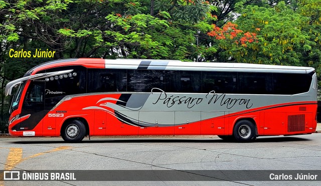 Empresa de Ônibus Pássaro Marron 5523 na cidade de São Paulo, São Paulo, Brasil, por Carlos Júnior. Número da foto: #12795456.