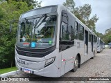 Auto Viação Redentor HL334 na cidade de Curitiba, Paraná, Brasil, por Marcelo Andrade. Número da foto: #12795302.