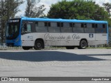 Princesinha do Vale 222312 na cidade de Resende, Rio de Janeiro, Brasil, por Augusto César. Número da foto: #:id.