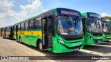 Transportes Capellini 32893 na cidade de Paulínia, São Paulo, Brasil, por Allan Henrique. Número da foto: #12794043.