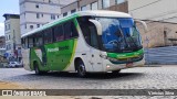 Pássaro Verde 11091 na cidade de Ponte Nova, Minas Gerais, Brasil, por Vinicius Silva. Número da foto: #12795204.