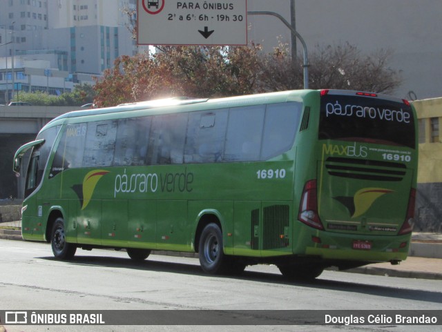 Pássaro Verde 16910 na cidade de Belo Horizonte, Minas Gerais, Brasil, por Douglas Célio Brandao. Número da foto: #12797721.