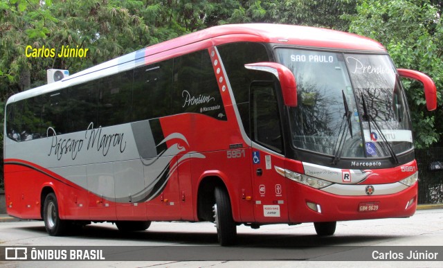 Empresa de Ônibus Pássaro Marron 5951 na cidade de São Paulo, São Paulo, Brasil, por Carlos Júnior. Número da foto: #12797905.