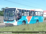 Viação Sanremo 838 na cidade de Vila Velha, Espírito Santo, Brasil, por Sergio Corrêa. Número da foto: #12796755.