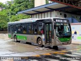 Viação Santa Brígida 1 0203 na cidade de São Paulo, São Paulo, Brasil, por Diego Cardoso da Silva. Número da foto: #12797645.