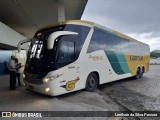 Empresa Gontijo de Transportes 21295 na cidade de Caruaru, Pernambuco, Brasil, por Lenilson da Silva Pessoa. Número da foto: #12797477.