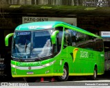 Pássaro Verde 16910 na cidade de Belo Horizonte, Minas Gerais, Brasil, por Fernando Cassimiro. Número da foto: #12797140.