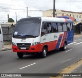 Vivian Transportes e Turismo 22721071 na cidade de Manaus, Amazonas, Brasil, por Bus de Manaus AM. Número da foto: #:id.