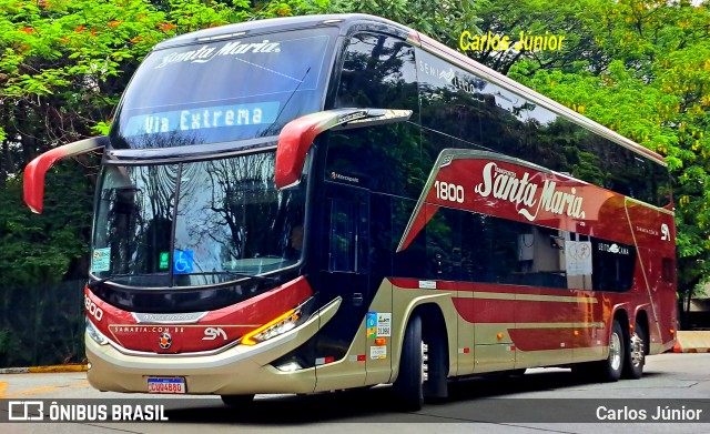 Santa Maria Fretamento e Turismo > Transportes Santa Maria(SP) 1800 na cidade de São Paulo, São Paulo, Brasil, por Carlos Júnior. Número da foto: #12800967.