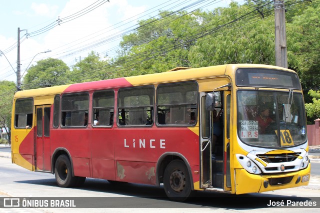 Lince 15 na cidade de Asunción, Paraguai, por José Paredes. Número da foto: #12801305.