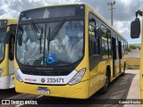 Viação Pioneira 233471 na cidade de Santa Maria, Distrito Federal, Brasil, por Gabriel Rocha. Número da foto: #12798848.