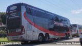 Nossa Senhora da Conceição 21000 na cidade de Esteio, Rio Grande do Sul, Brasil, por Henrique Augusto Allebrandt. Número da foto: #12800533.