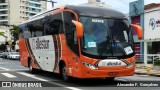Allestur 500 na cidade de Itajaí, Santa Catarina, Brasil, por Alexandre F.  Gonçalves. Número da foto: #:id.