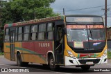TLGSA - Transporte Loma Grande S.A. - Línea 132 > Transporte LomaGrandense S.A. 1271 na cidade de Ypacaraí, Central, Paraguai, por José Paredes. Número da foto: #12801165.