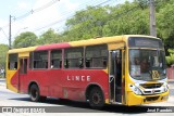 Lince 15 na cidade de Asunción, Paraguai, por José Paredes. Número da foto: #12801305.