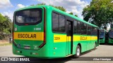 Transportes Capellini 32894 na cidade de Paulínia, São Paulo, Brasil, por Allan Henrique. Número da foto: #12799440.