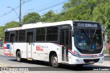TTL S.A. - Transporte y Turismo Lambaré - Líneas 23-24-31 y 33 1951 na cidade de Asunción, Paraguai, por José Paredes. Número da foto: #12801321.