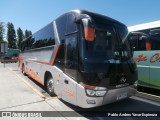 Buses Valenzuela 12 na cidade de Santa Cruz, Colchagua, Libertador General Bernardo O'Higgins, Chile, por Pablo Andres Yavar Espinoza. Número da foto: #12800952.