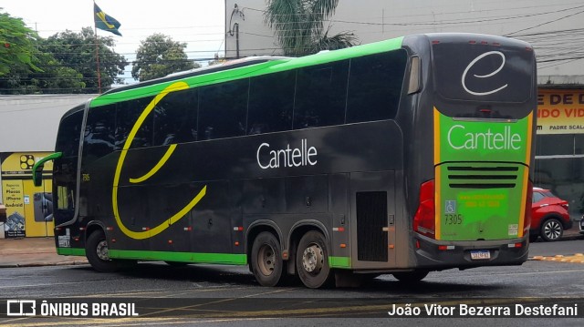 Cantelle Viagens e Turismo 7305 na cidade de Maringá, Paraná, Brasil, por João Vitor Bezerra Destefani. Número da foto: #12801481.