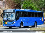 Transportadora Globo 993 na cidade de Recife, Pernambuco, Brasil, por Renato Fernando. Número da foto: #12803766.