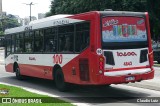 Tarsa 4843 na cidade de Ciudad Autónoma de Buenos Aires, Argentina, por Claudio Luiz. Número da foto: #12803465.