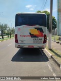 Transportes Capellini 13258 na cidade de Hortolândia, São Paulo, Brasil, por Matheus Duarte Souza. Número da foto: #12802971.