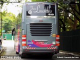 TransLourdes Transporte e Fretamento 220 na cidade de São Paulo, São Paulo, Brasil, por Gabriel Giacomin de Lima. Número da foto: #12803816.