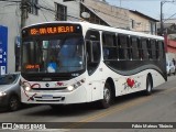 Trectur 1432 na cidade de Três Corações, Minas Gerais, Brasil, por Fábio Mateus Tibúrcio. Número da foto: #12802914.