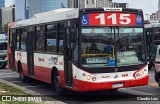Tarsa 4451 na cidade de Ciudad Autónoma de Buenos Aires, Argentina, por Claudio Luiz. Número da foto: #12803889.