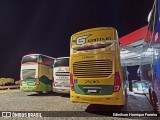 Empresa Gontijo de Transportes 25010 na cidade de Estiva, Minas Gerais, Brasil, por Edinilson Henrique Ferreira. Número da foto: #12802042.