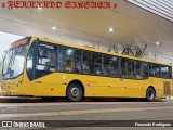 Gidion Transporte e Turismo 11208 na cidade de Joinville, Santa Catarina, Brasil, por Fernando Rodrigues. Número da foto: #12849132.
