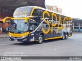 Expresso Nordeste 6175 na cidade de Porto Alegre, Rio Grande do Sul, Brasil, por JULIO SILVA. Número da foto: #12848702.